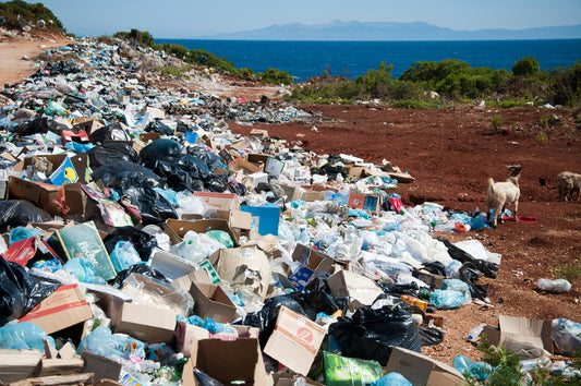 A huge pile of plastic and paper garbage sits on a beach. A small dog walks away from the mess.